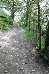 post card front final -5