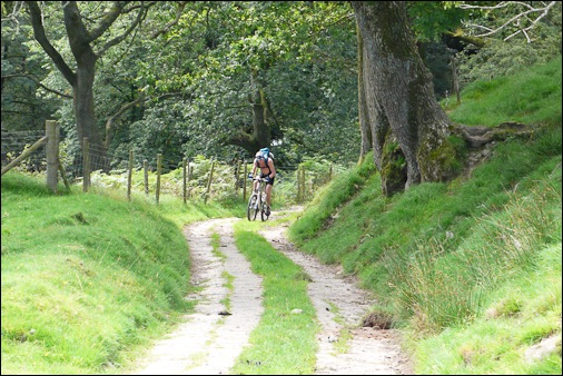 post card front final -6