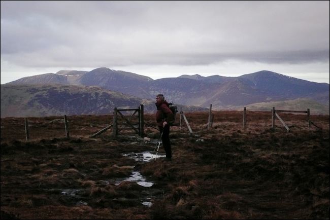 testimonials-1020918