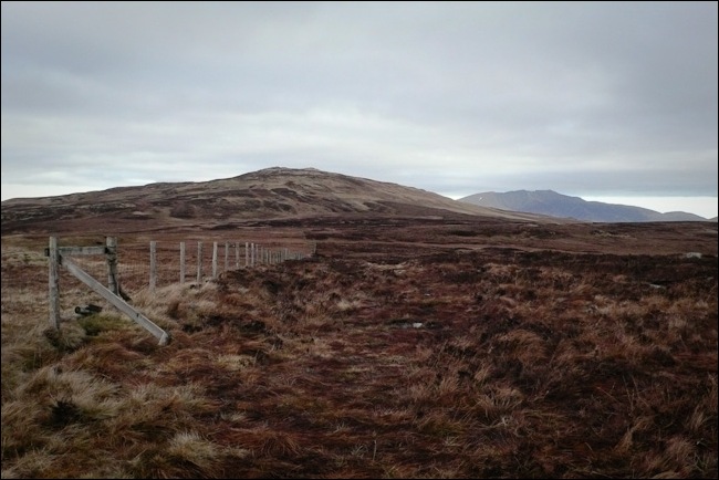 testimonials-1020920