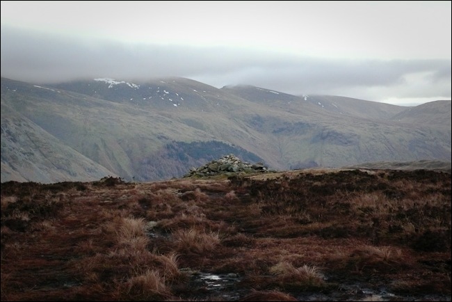 testimonials-1020921