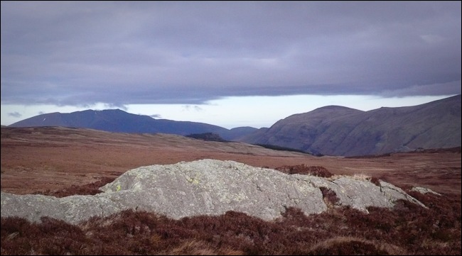 testimonials-1020931