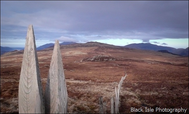 testimonials-1020932