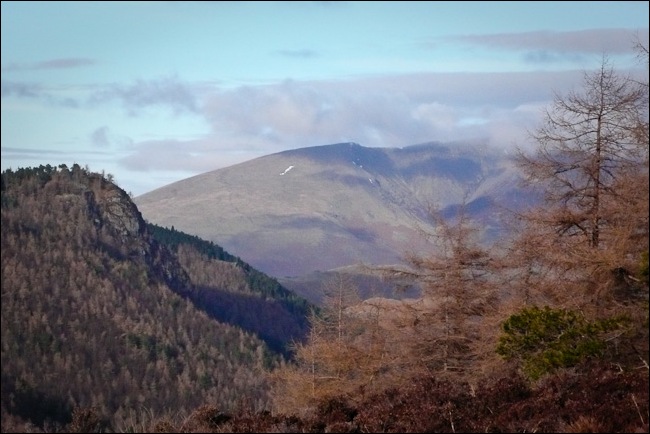 testimonials-1020940