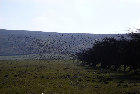 Black Isle Photography-2