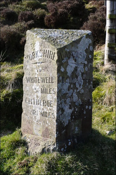 Black Isle Photography-3