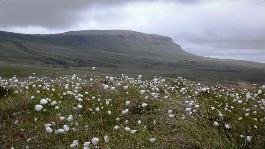 Bride_and_Groom-1030298