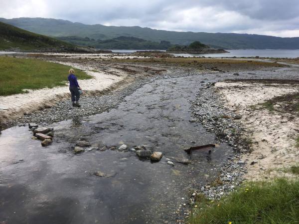 102335751_3029658810406188_2673071053848182784_n