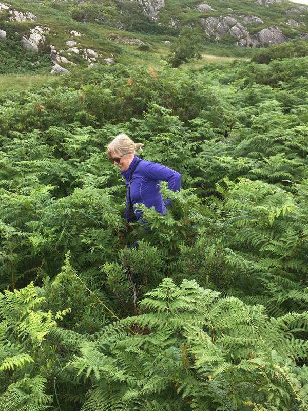 102361841_183643526339287_349428149676670976_n