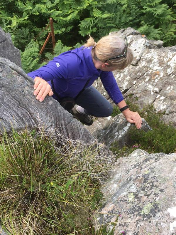 102885997_291852095189483_8410454918086787072_n