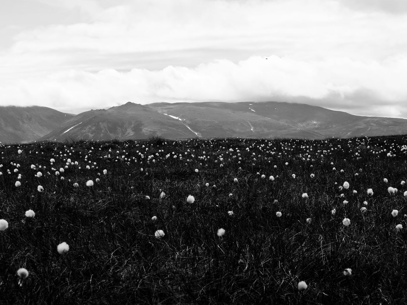 IMG_3673