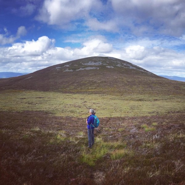 08147E3F-ED20-4CAD-8A40-0C970F143EE5