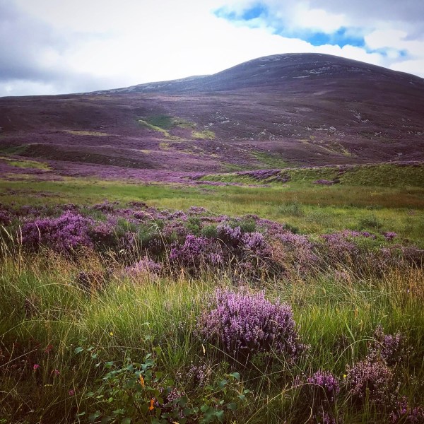 5F8B28F1-52EA-4B5F-B88D-FF61F742B8B6