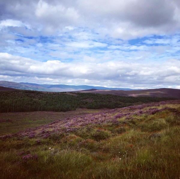 99158837-1210-4792-8103-842A2F938EA8