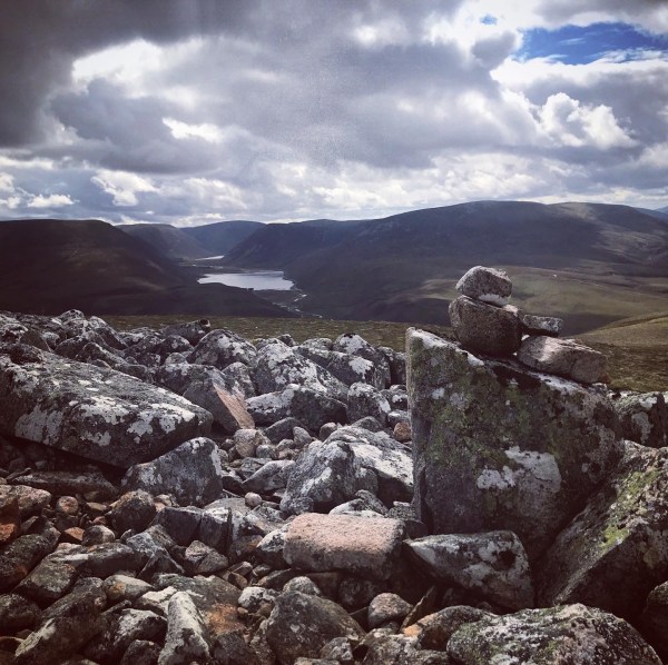 A50D60A5-F0A1-4495-9FD0-6386283E0B25