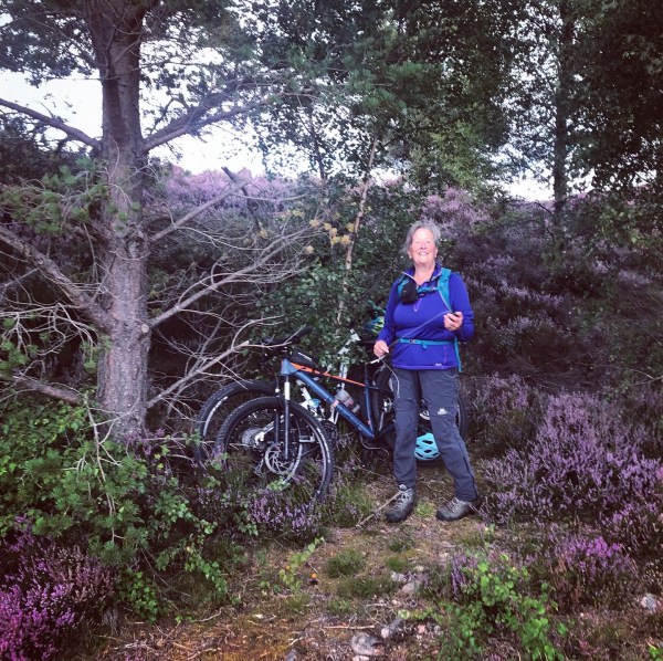 C6CA0011-ABC6-4E2C-BA19-6CCF5D382D62